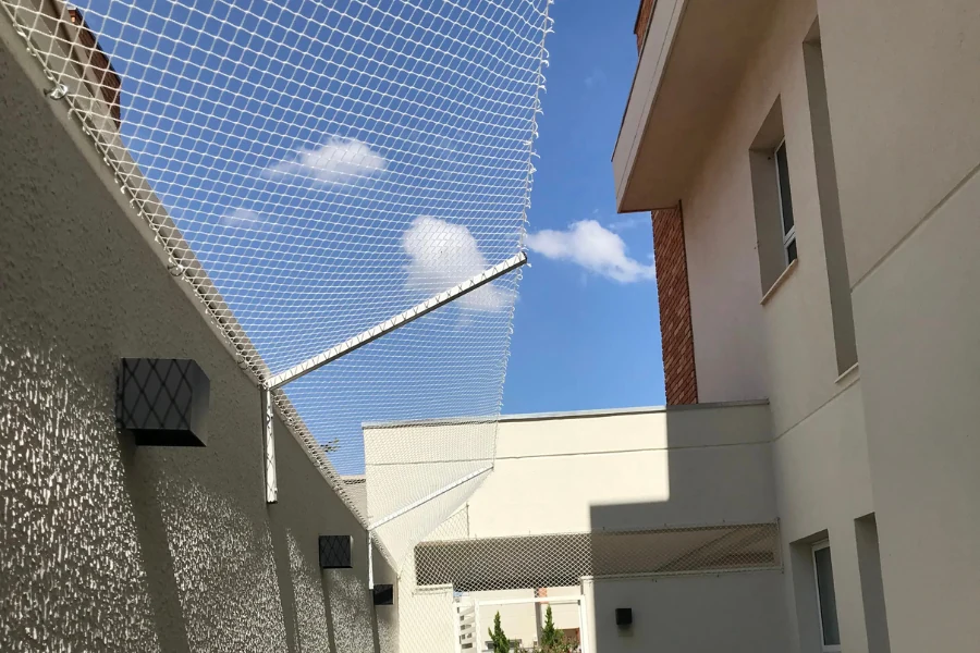 Anti-fuga para gatos